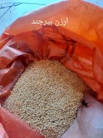 ارزن بیرجند