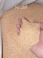 ارزن ریز
